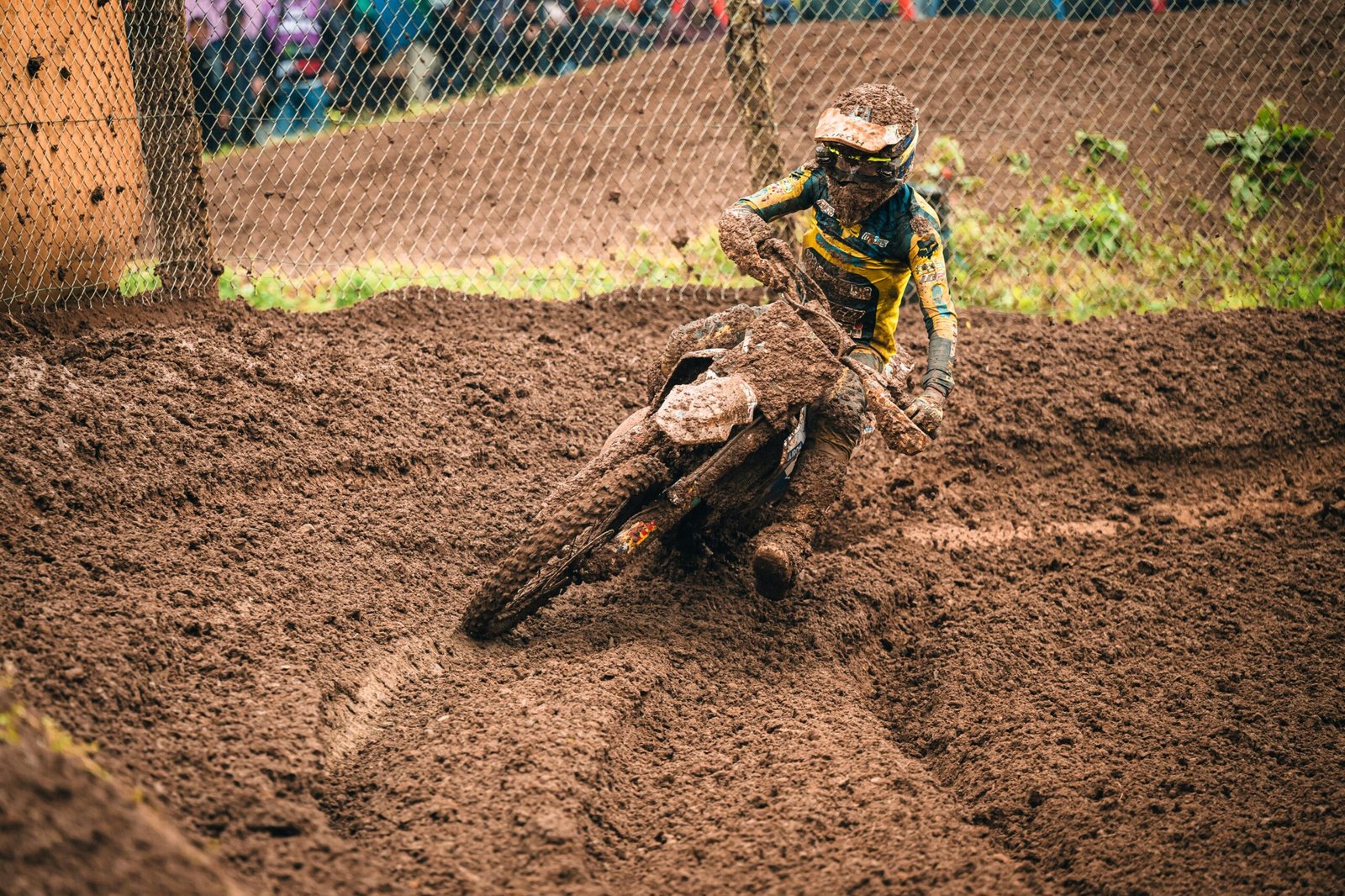 PHOTO-2025-06-04-17-50-35